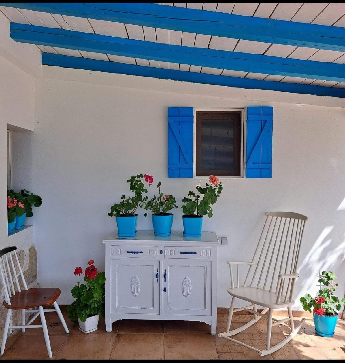 Etno House Happy Village Τσέτινιε Εξωτερικό φωτογραφία